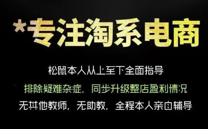 松鼠会电商VIP课程，从基础布局到高阶优化，助你掌握淘宝运营逻辑，提升店铺流量与转化(更新0815)-百盟网