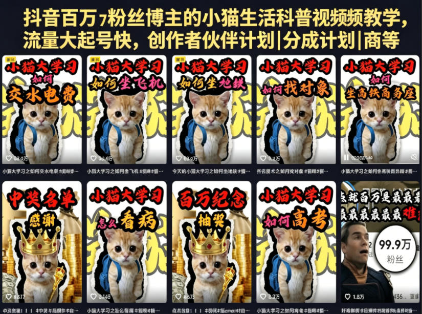 抖音百万粉丝博主的小猫生活科普视频教学，流量大起号快，创作者伙伴计划|分成计划|商单|收徒等-百盟网