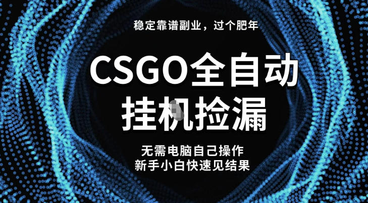【稳定副业】全球最热门游戏CSGO全自动捡漏，最新玩法，新手小白日入5张+【揭秘】-百盟网
