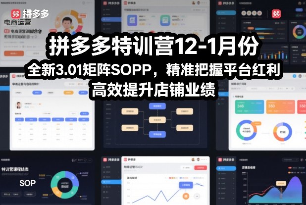 拼多多特训营12-1月份，全新3.01矩阵Sop，精准把握平台红利，高效提升店铺业绩-百盟网