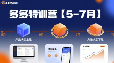 多多特训营，产品决定上限，方法决定下限，各种玩法技巧落地实操(更新)-百盟网