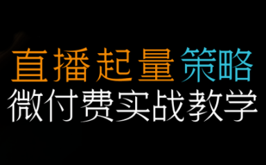 半野老师·直播带货起量与微付费必学课视频号-百盟网
