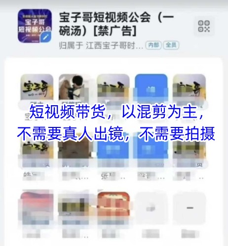 宝子哥头部团队短视频带货，以混剪为主，不需要真人出镜，不需要拍摄【更新26年3月】-百盟网