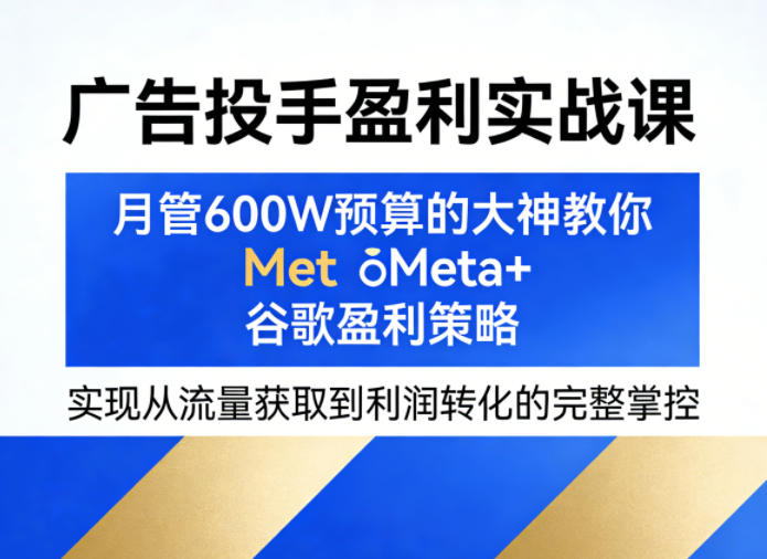 广告投手盈利实战课，月管600W预算的大神教你Meta+谷歌盈利策略，实现从流量获取到利润转化的完整掌控-百盟网