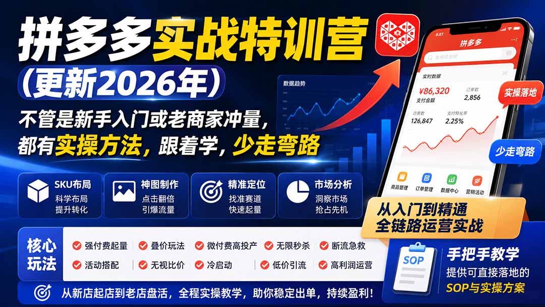 拼多多实战特训营(更新26年0821-百盟网