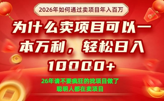 一单净利润1K+，26年想年入100个W，死磕卖项目就够了【揭秘】-百盟网