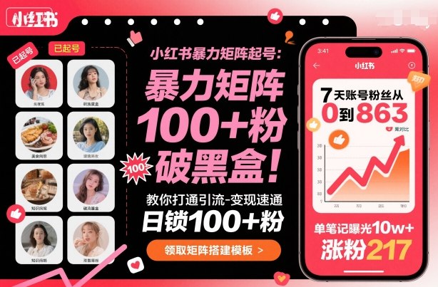 小红书暴力矩阵起号，教你打通引流-变现速通，日锁100+粉，破流量黑盒-百盟网