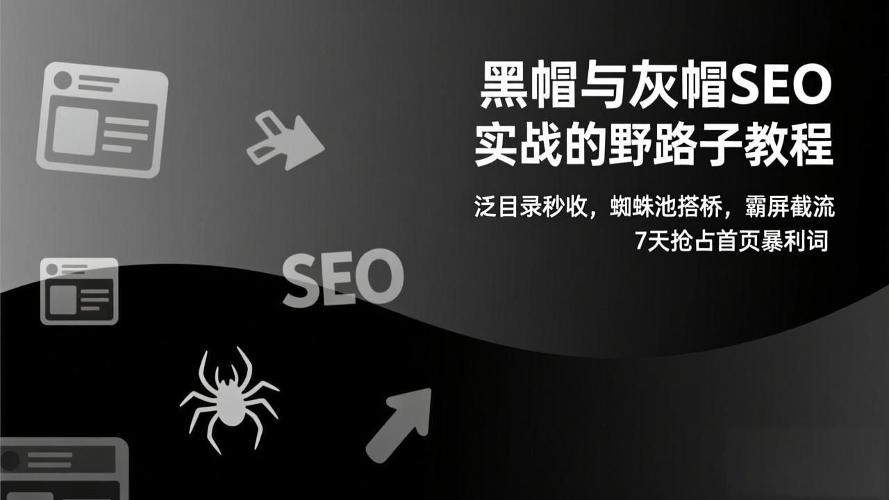 黑帽与灰帽SEO实战的野路子教程：泛目录秒收，蜘蛛池搭桥，霸屏截流，7天抢占首页暴利词-百盟网
