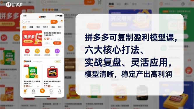 拼多多可复制盈利模型课，六大核心打法、实战复盘、灵活应用，模型清晰，稳定产出高利润-百盟网
