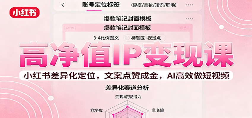 高净值IP变现课：小红书差异化定位，文案点赞成金， AI高效做短视频-百盟网