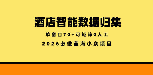 酒店智能数据归集，小众蓝海已经稳定半年之久，单窗口70+零成本矩阵开干【揭秘】-百盟网