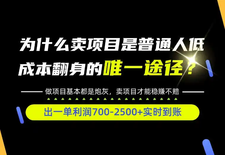 普通人如何靠互联网賺取自己的第一桶金！全类目实操型教学，看完你全都懂了！【揭秘】-百盟网