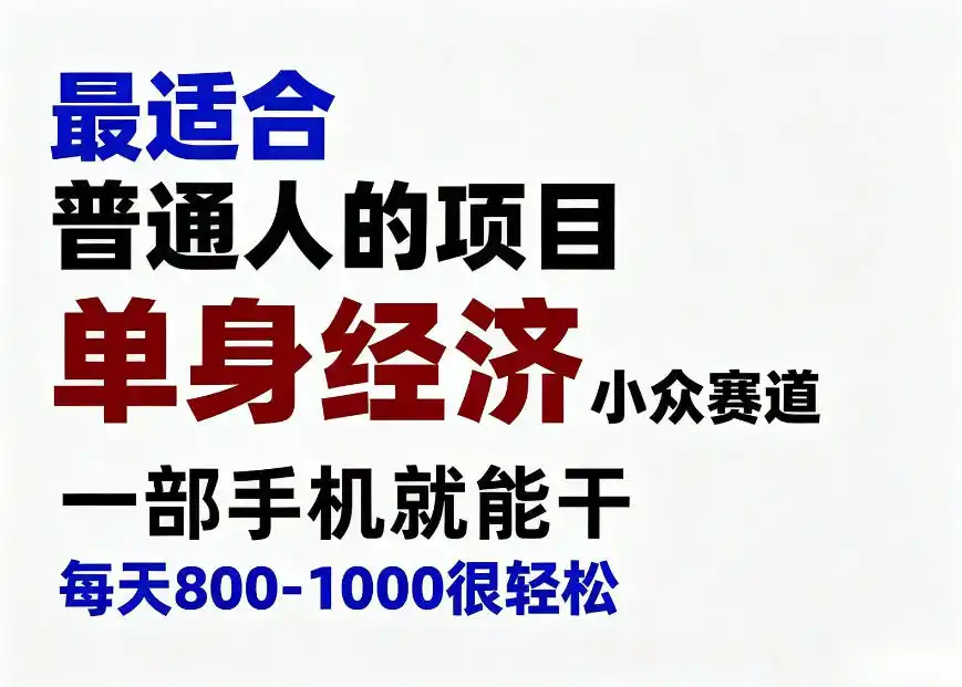 身经济小众赛道，一部手机就能干，每天搞个800-1000很轻松，最适合普通人的项目【揭秘】-百盟网
