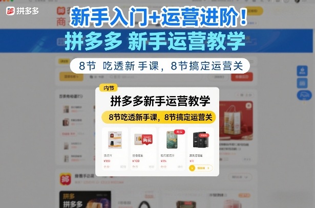 新手入门+运营进阶!拼多多新手运营教学,8节吃透新手课,8节搞定运营关-百盟网