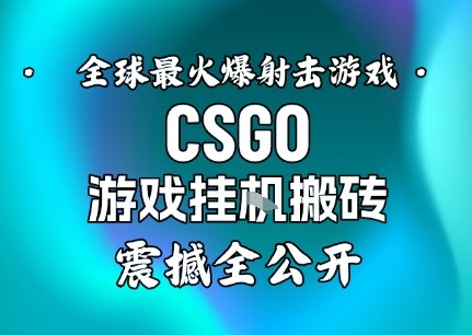 【年底大揭秘】基于全球最火爆的射击CSGO游戏挂G搬砖，日入5张+，震撼公开-百盟网