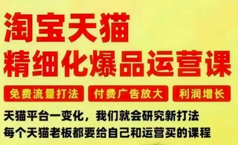 淘宝天猫精细化爆品运营课，免费流量打法-付费广告放大-利润增长-三大核心痛点，一次全部解决-百盟网
