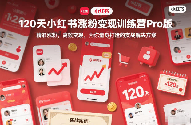 120天小红书涨粉变现训练营Pro版，精准涨粉，高效变现，为你量身打造的实战解决方案-百盟网
