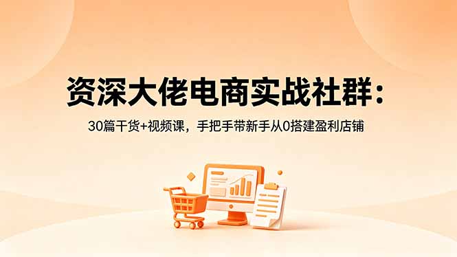 资深大佬电商实战社群：30篇干货+视频课，手把手带新手从0搭建盈利店铺-百盟网