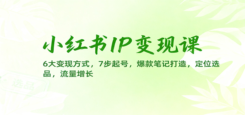 小红书IP变现课:6大变现方式,7步起号,爆款笔记打造,定位选品,流量增长-百盟网