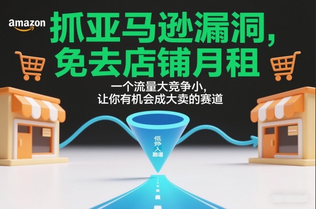 抓亚马逊漏洞，免去店铺月租，一个流量大竞争小，让你有机会成大卖的赛道-百盟网